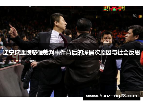 辽宁球迷愤怒砸裁判事件背后的深层次原因与社会反思